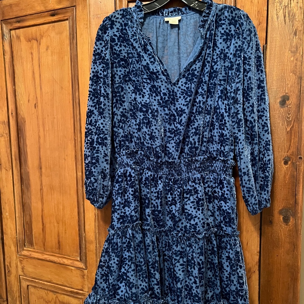 Elegant Blue velvet Patterned Dress